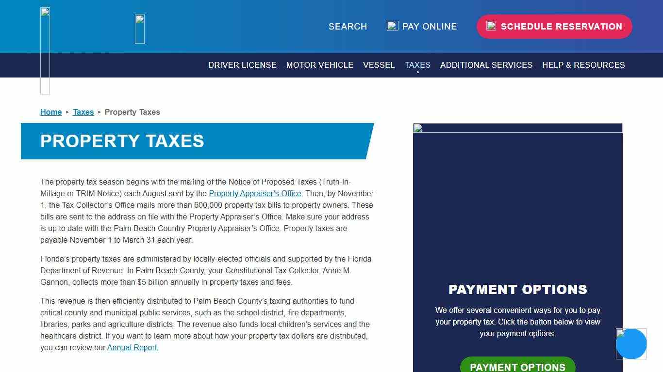 Property Taxes - Constitutional Tax Collector